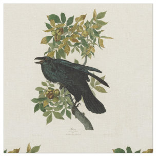Tela Arte clásico Audubon Raven