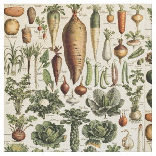 Tela Arte de verduras de época por Adolphe Millot