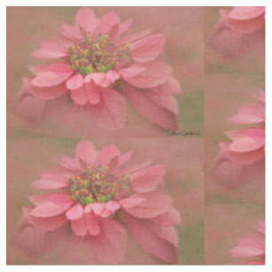Tela Arte Digital Flor de Pascua Rubor de Rosa