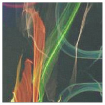 Arte popular floreciente de los fuegos