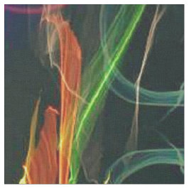 Tela Arte popular floreciente de los fuegos