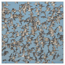 Tela Asombrosos pollos de invierno en el vuelo
