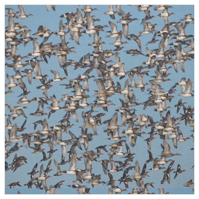 Tela Asombrosos pollos de invierno en el vuelo (Retal)