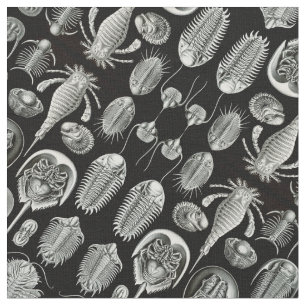 Tela Aspidonia de Ernst Haeckel