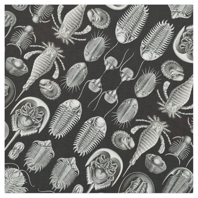 Tela Aspidonia de Ernst Haeckel (De cerca)