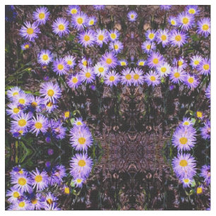Tela Asters salvajes