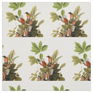 Tela Audubon American Robin Wildlife Bird Ilustracion