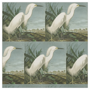 Tela Audubon Snowy Heron White Egret Bird Birding
