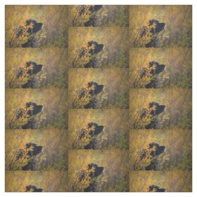 Tela Autumn Leonberger (Retal)