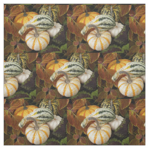 Tela Autumn Squash Still Life Photo Pattern