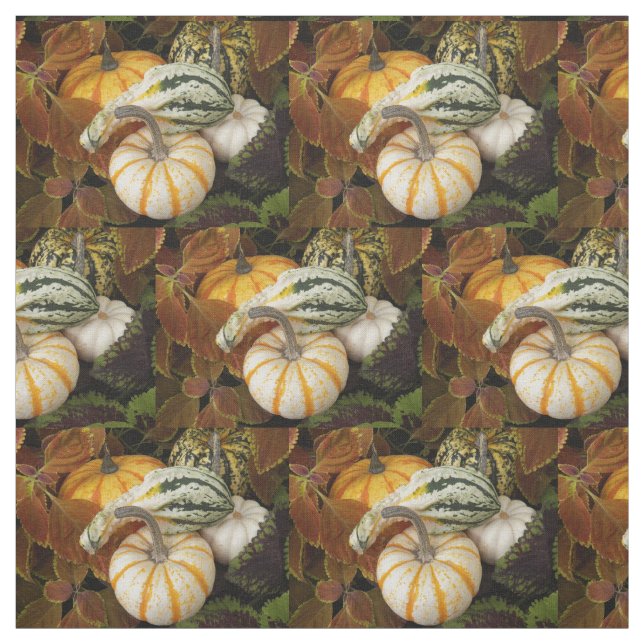 Tela Autumn Squash Still Life Photo Pattern (Retal)