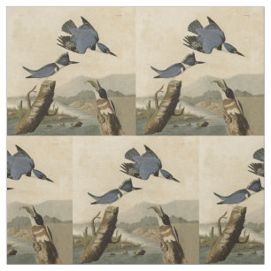 Tela Ave salvaje Audubon Belt Kingfisher