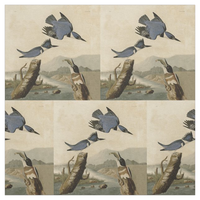 Tela Ave salvaje Audubon Belt Kingfisher (Retal)
