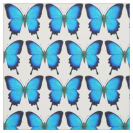 Tela azul de la mariposa de Ulises Swallowtail