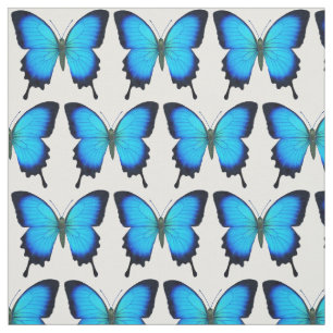 Tela azul de la mariposa de Ulises Swallowtail