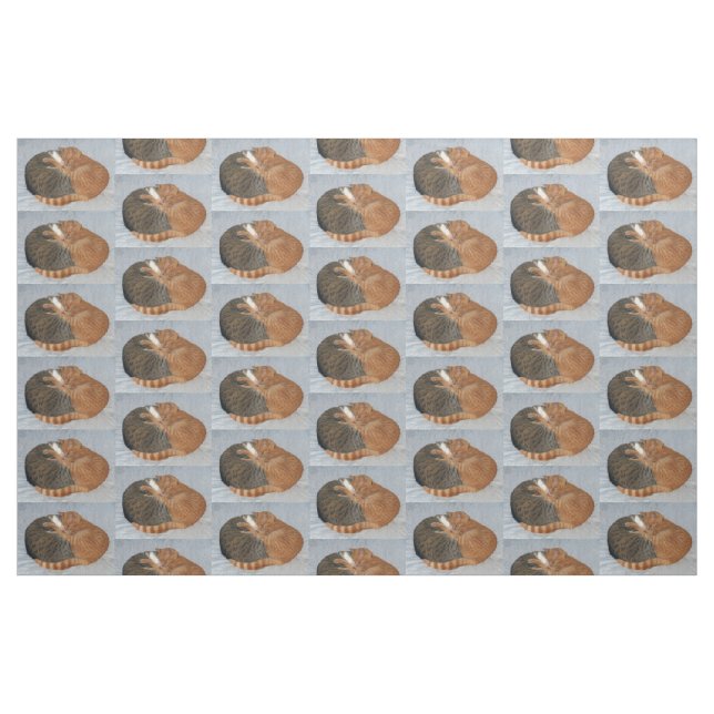 Tela Ball of Cuteness ("Cuarto gordo" (fat quarter))