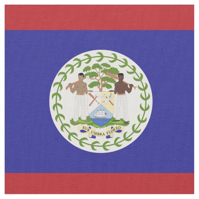 Tela Bandera de Belice (De cerca)