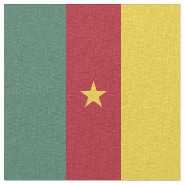 Tela Bandera de Camerún (De cerca)