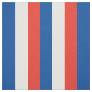 Tela Bandera de Francia