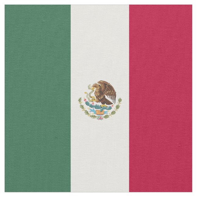 Tela Bandera de México (De cerca)