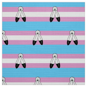 Tela Bandera de orgullo trans de dos espíritus