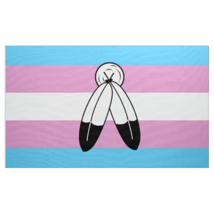 Tela Bandera de orgullo trans de dos espíritus