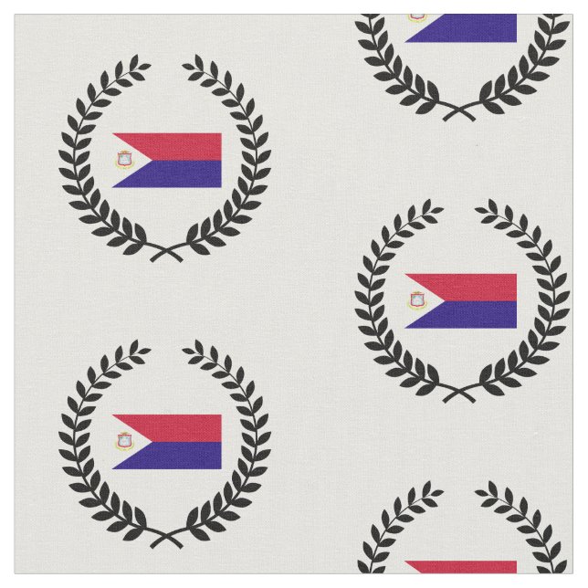 Tela Bandera de San Martín (De cerca)