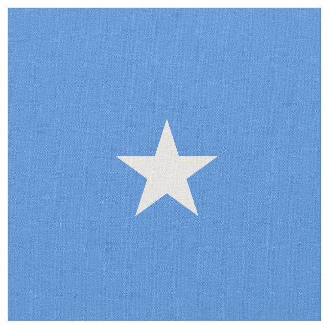 Tela Bandera de Somalia (De cerca)