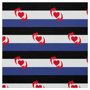 Tela Bandera del Orgullo Switch