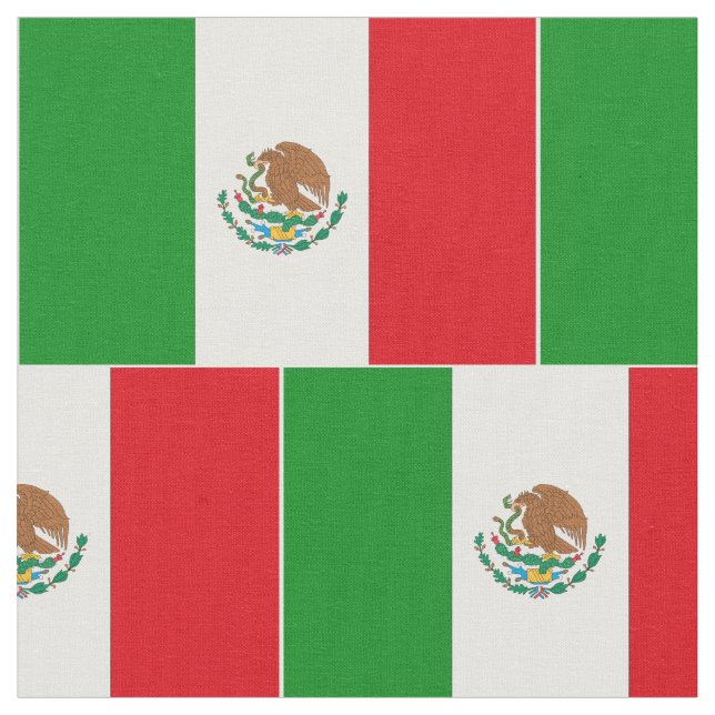 Tela Bandera mexicana (De cerca)