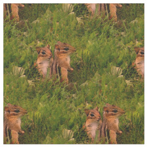 Tela Bebé Chipmunks Animal Nature Art