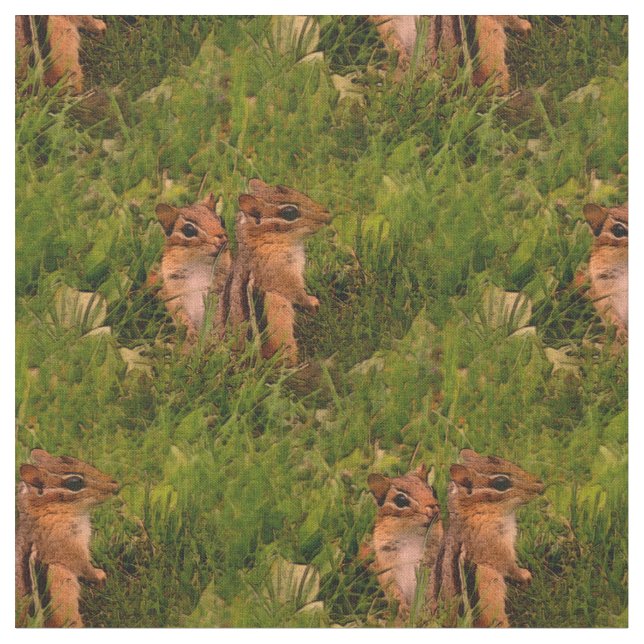 Tela Bebé Chipmunks Animal Nature Art (De cerca)