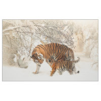 Bebé de la familia del tigre