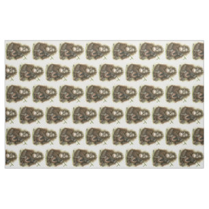 Tela Bebé del orangután con las hojas