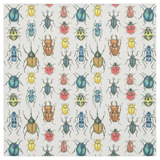 Tela Beetles (Retal)