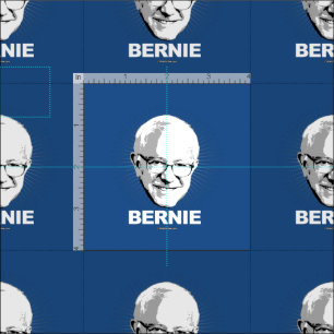 TELA BERNIE