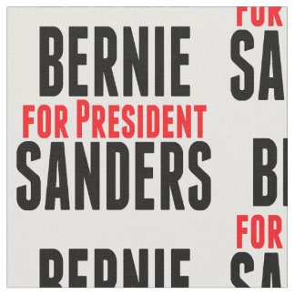 Tela Bernie Sanders Para Presidente