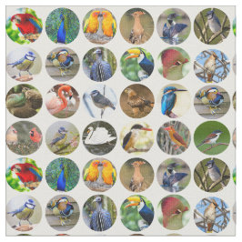 Tela Bird Lovers Fabric