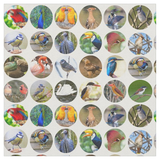 Tela Bird Lovers Fabric (De cerca)