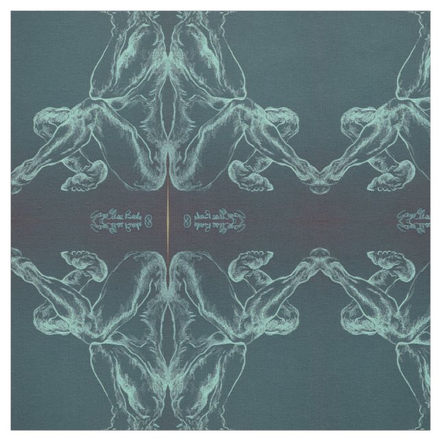 Tela Bise en negro (Retal)