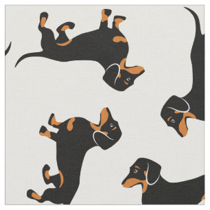 Tela Black and Tan Dachshunds
