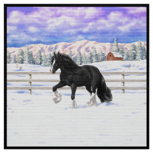 Tela Black Gypsy Vanner Irish Cob Draft Horse In Snow