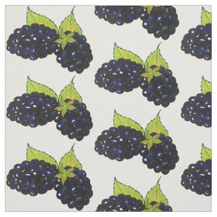 Tela Blackberry Bush Summer Blackberries Berry Berries