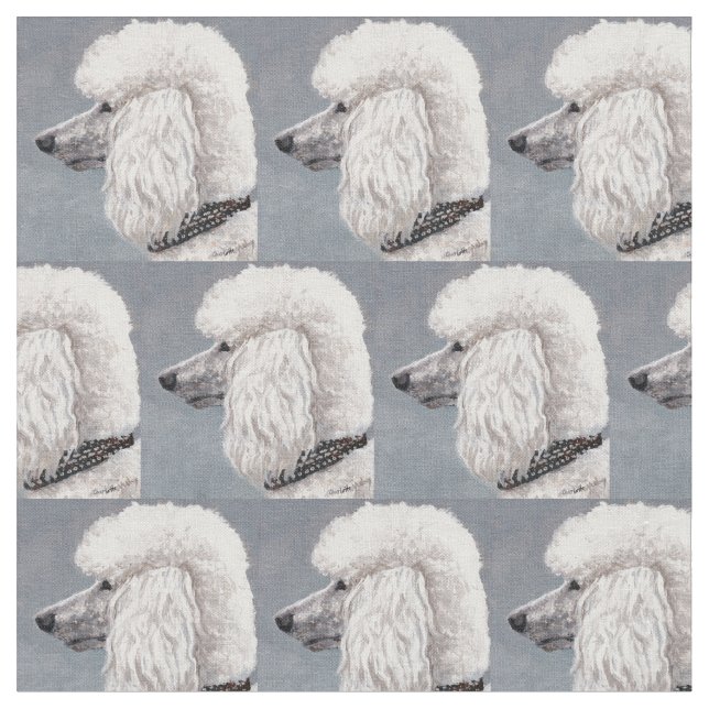 Tela blanca del arte del perro de caniche (De cerca)