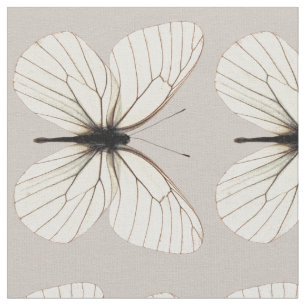 Tela blanca y del moreno elegante de mariposa del