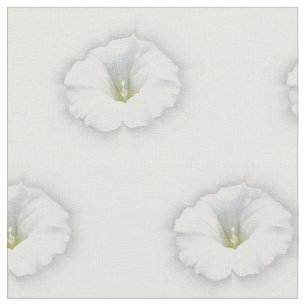 Tela blanco y tonos grises