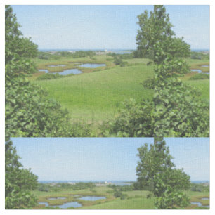 Tela Block Island Champlin Road Meadow