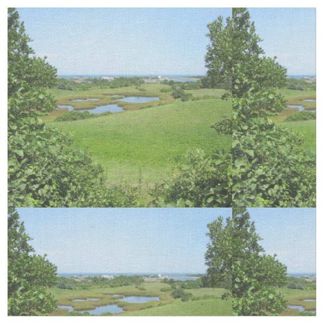 Tela Block Island Champlin Road Meadow (De cerca)