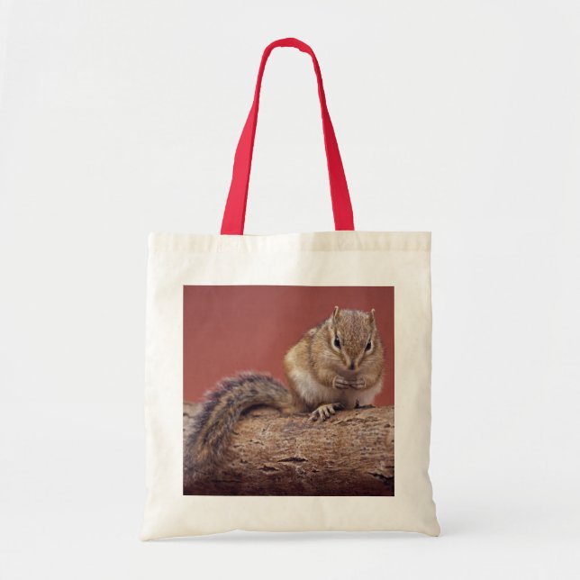 Tela Bolso de Chippie (Frente)