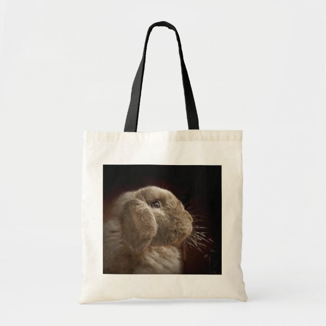 Tela Bolso de haba (Frente)